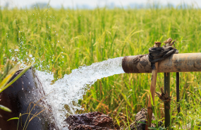 Agriculture